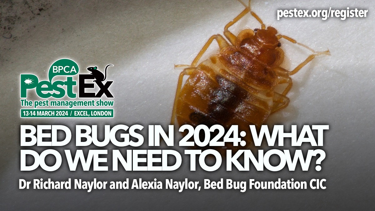 PestEx2024-bed-bugs-in-2024